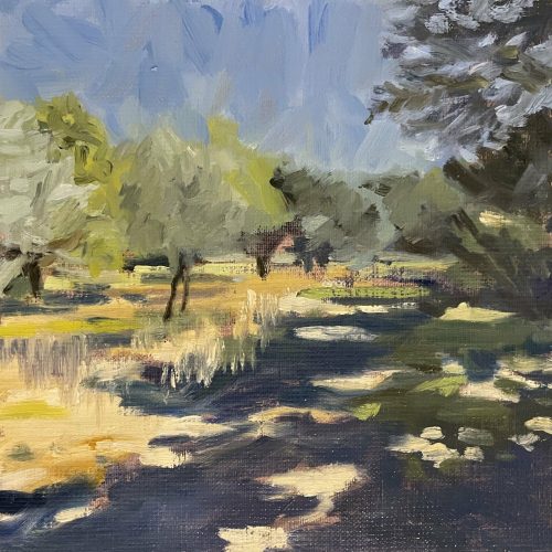 ASTRUP Près du pont du Gard 20x20